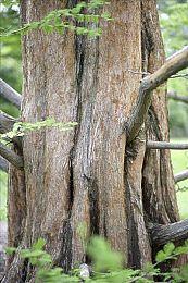 《铁拳8》PS5试玩版14日放出 PC＆Xbox晚一周上线